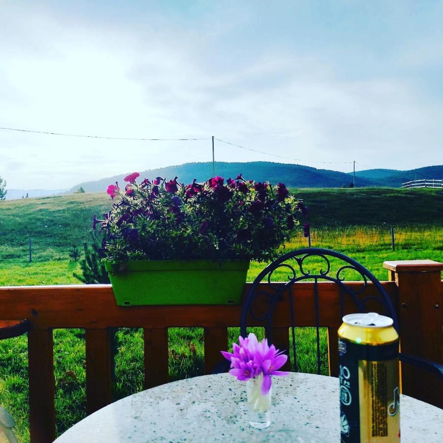 Vikendica Planinska Kuca Zabljak (Zabljak)