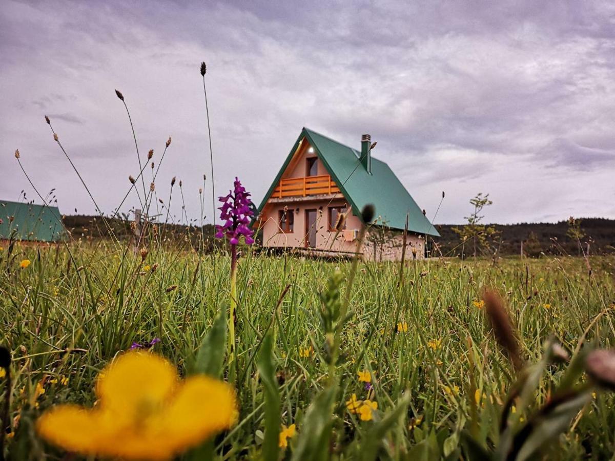 Planinska Kuca * Zabljak (Zabljak)